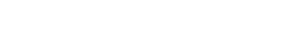 Nally Bros Logo